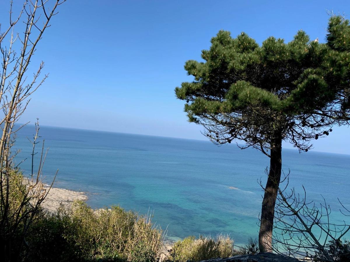 Appartement Villa Chausey, Vue Sur Le Port Granville Eksteriør bilde